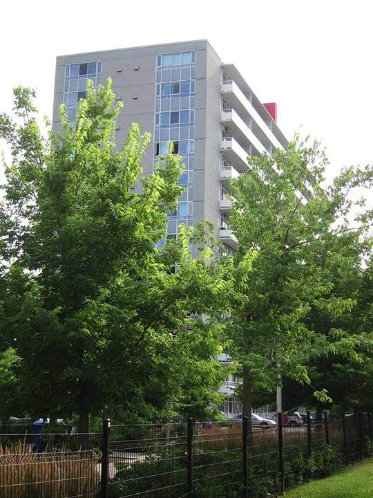 The Building 